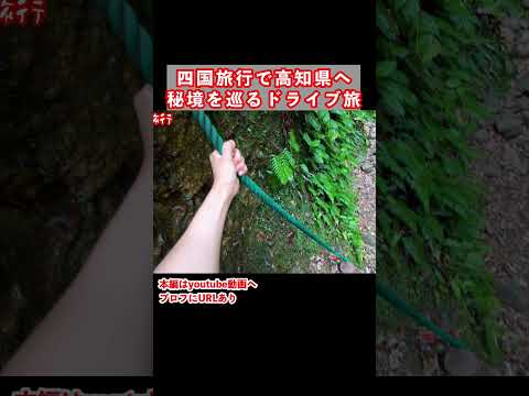 ヤバい秘境を歩く！高知県ドライブ旅の思い出 サムネイル