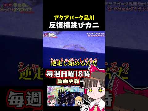 反復横跳びカニ サムネイル