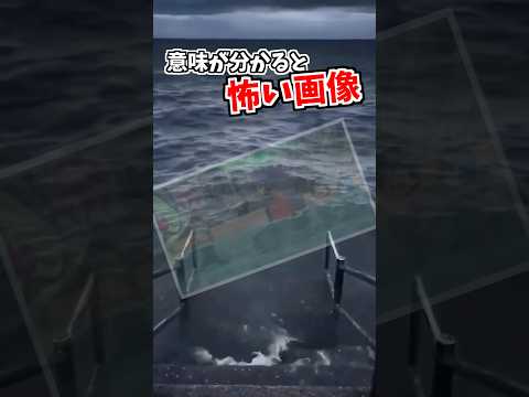 とても仲良しですね（意味深） サムネイル