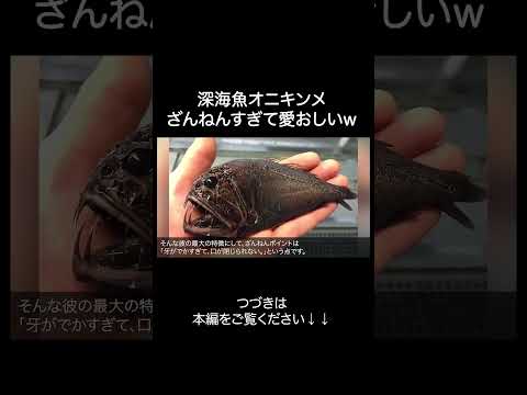 深海魚オニキンメがざんねんすぎるw
