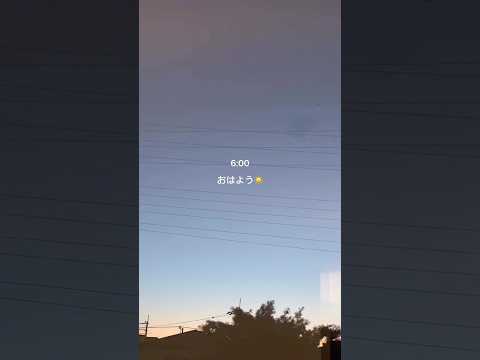 新ブランドが可愛すぎる☺️🌸DISCOAT買い周りキャンペーン サムネイル