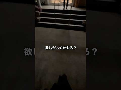 【親子】母に送る誕生日プレゼントピアス 親子 プレゼント サムネイル