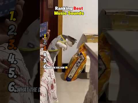 Ranking Best Music Sounds 😂