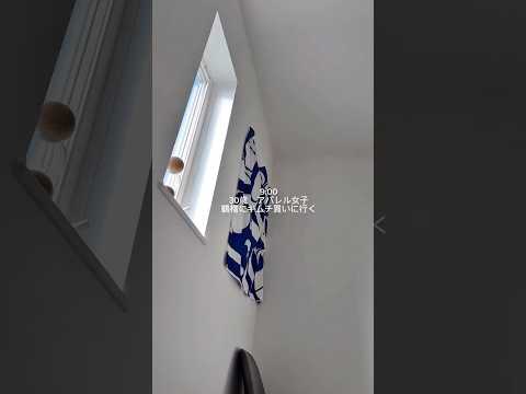 オフの日VLOG｜この部屋の続きは本編で…👀 サムネイル