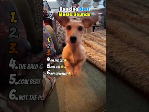 Ranking Best Music Sounds 😂