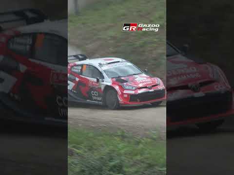 Twisty & Fast | WRC Stars Taming the Góis Mountain Pass