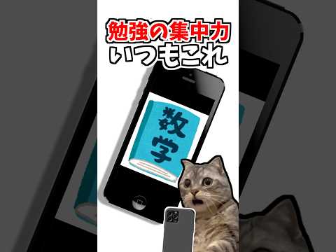 俺達が唯一頑張れること