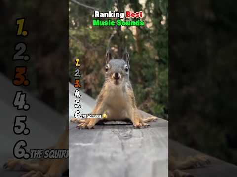 Ranking Best Music Sounds 😂 サムネイル