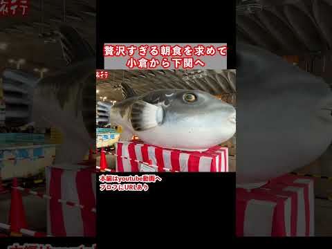 朝から贅沢に下関グルメを堪能しました