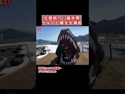 【福井旅行】福井県のグルメと観光スポットを巡る2泊3日が最高すぎた 福井県 福井グルメ 福井旅行 福井観光 サムネイル