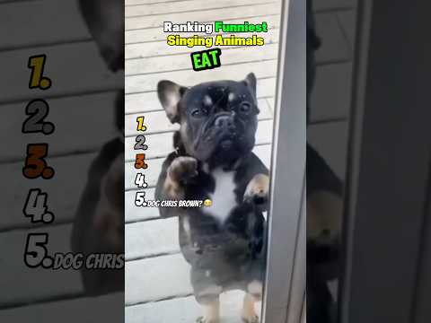 Ranking Funniest Singing Animals 😂 サムネイル