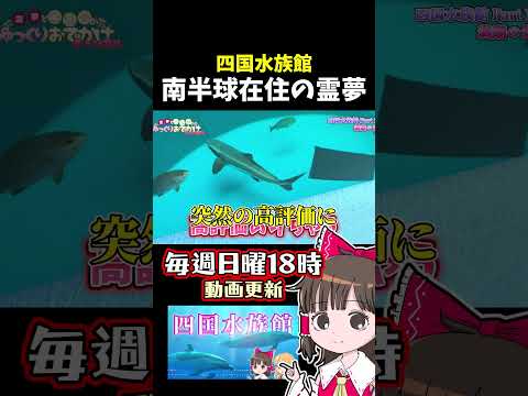 南半球 サムネイル