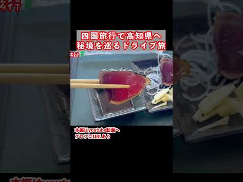 高知のカツオが美味すぎる！高知県ドライブ旅の思い出 サムネイル