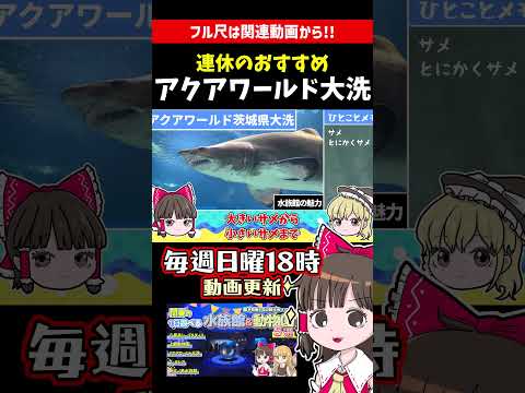 1分でわかるアクアワールド大洗!連休におすすめの水族館
