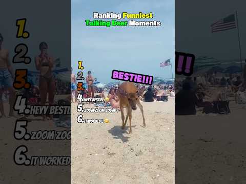 Ranking Funniest Talking Deer Moments 😂 サムネイル