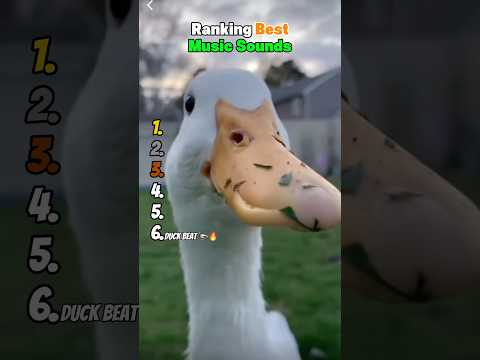 Ranking Best Music Sounds 😂 サムネイル