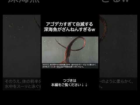 深海魚フクロウナギがざんねんすぎるw サムネイル