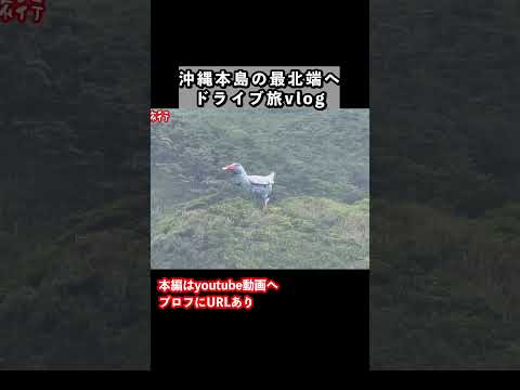 沖縄本島の最北端「国頭村」をドライブ旅しました  沖縄旅行 沖縄観光