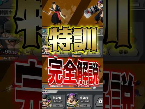 【知らないと損する!!】バウンティ"特訓"完全解説!! short バウンティラッシュ 完全解説 特訓 ONEPIECE