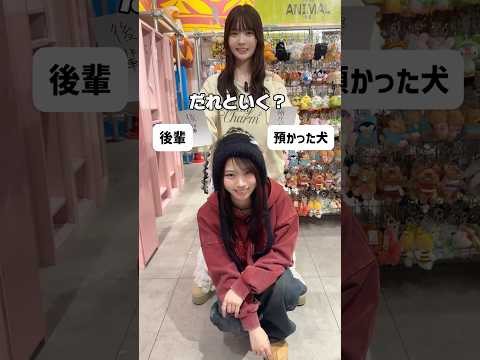 【最強のコーディネートを作れ🔥】今回は本望あやかちゃんが挑戦✨shorts fashion wego ウィゴー out… サムネイル