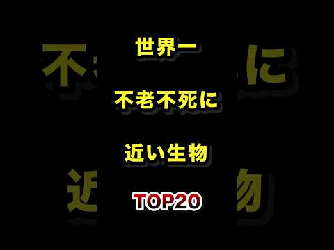 世界で1番不老不死に近い生物TOP20 不老不死 生物 寿命 ランキング