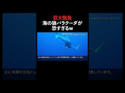 バラクーダ 怪魚 生態解説 雑学 サムネイル