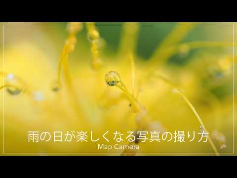 「雨だから撮らない」はもったいない！梅雨が楽しくなる写真の撮り方