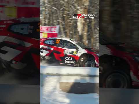 Ice & Fire: Unleashing the Beasts in the Swedish Snow