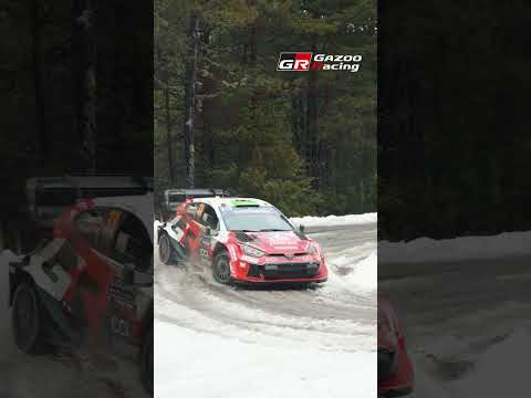 Frosty Thrills: SS6 in the Snow at Rally Monte Carlo!