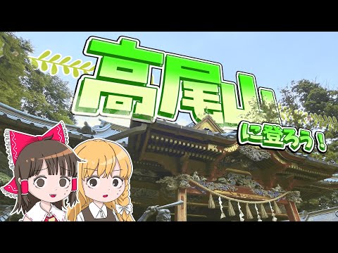 ついに高尾山の頂上へ！薬王院参拝＆山道で下山！霊夢と魔理沙が東京の高尾山に行くよ【ゆっくり実況解説】【旅行Vlog】V… サムネイル