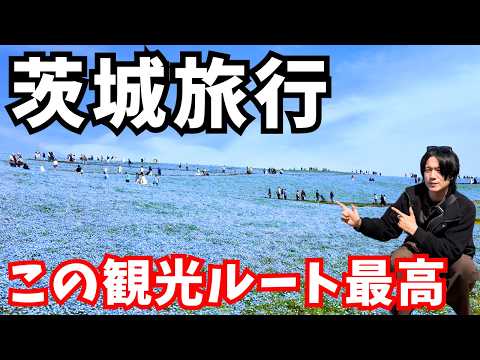 【茨城観光】茨城旅行で絶品グルメと神秘的な観光スポットを巡る｜ネモフィラ｜那珂湊おさかな市場