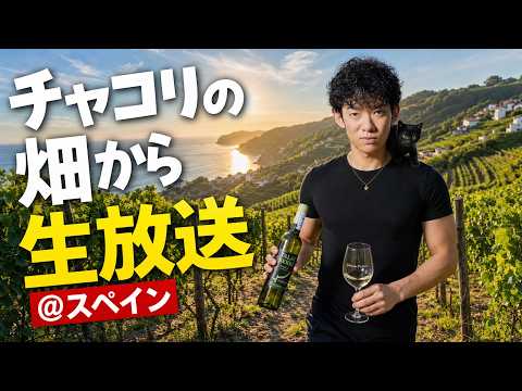 DaiGoの爽快TV＠チャコリの畑から生放送