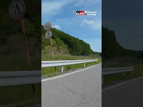 This Is What SS15/19 Nukata Looks Like 🇯🇵 Rally Japan 2026 サムネイル