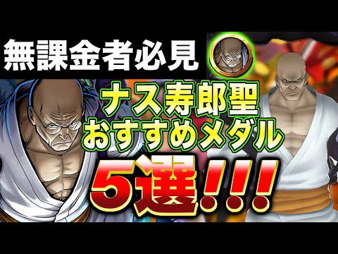 【🔰初心者必見】超フェス"ナス寿朗聖"最強おすすめメダル編成5選！【バウンティラッシュ】
