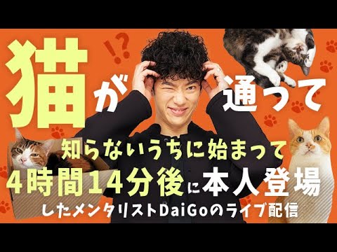 猫が通って知らないうちに始まって、4時間14分後に本人が登場したメンタリスト DaiGo のライブ配信 サムネイル