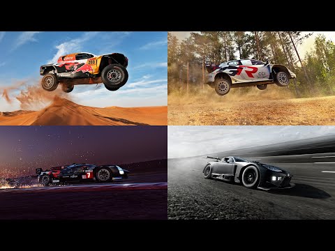 WILD ROAD サムネイル