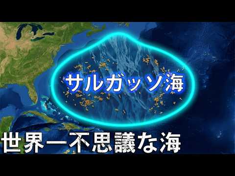恐るべきサルガッソ海 — 岸のない海 サムネイル