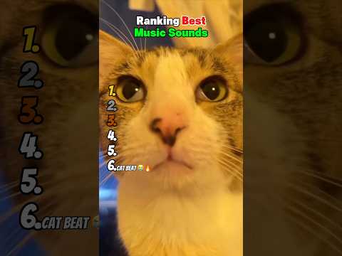 Ranking Best Music Sounds 😂 サムネイル