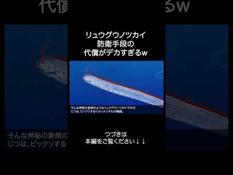 深海魚リュウグウノツカイがざんねんすぎるw サムネイル