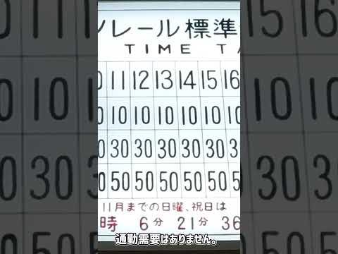 ヒメジシエイモノレールです。