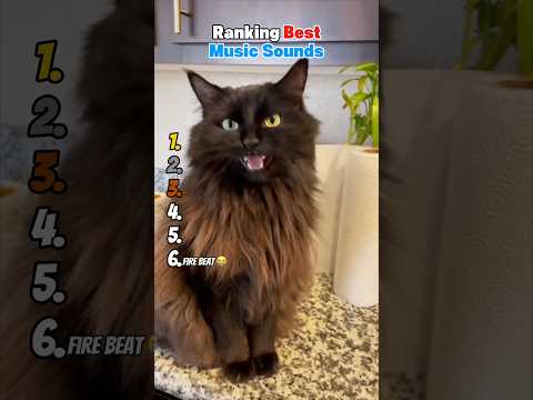 Ranking Best Music Sounds 😂