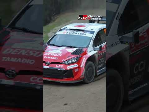 Gravel Fury: WRC Rally de Portugal SS12 Full Attack サムネイル
