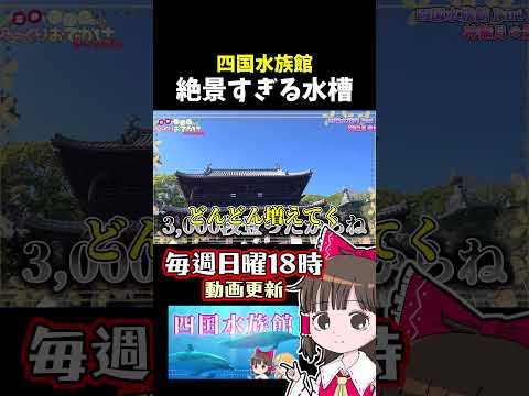 四国水族館の絶景