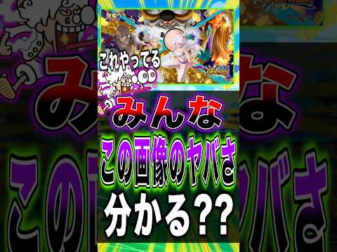 【話題の短尺】バウンティラッシュ×ONE PIECE“この画像のヤバさ”分かった?神回まとめ