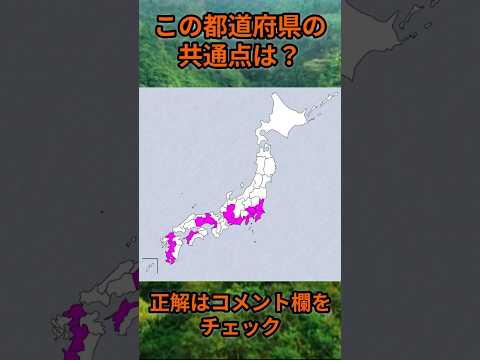 この都道府県の共通点は？cq098 Shorts 都道府県 クイズ 47都道府県 サムネイル