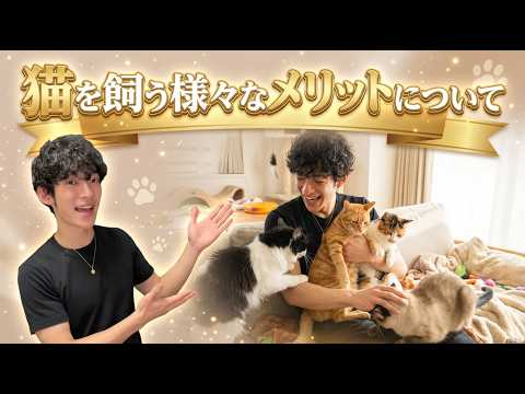 猫を飼う様々なメリットについて