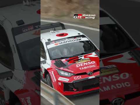 Twist & Shred | WRC Stars Taming the Canarian Canyons