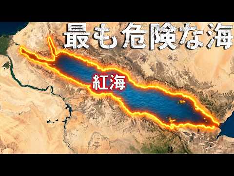 紅海では、なぜ何も触ってはいけないのか？