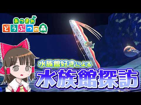 水族館好きがあつまれどうぶつの森の水族館を探索してみたら、すごすぎてびっくり！霊夢と魔理沙があつ森の水族館で遊ぶよ【ゆ…