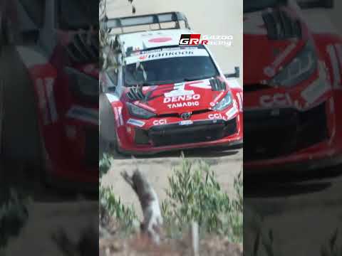 Dust Storm: WRC Stars Blasting Through SS2